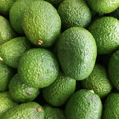 Avocado