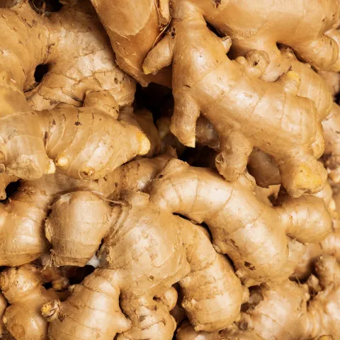 Ginger