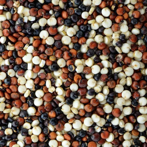 Grains