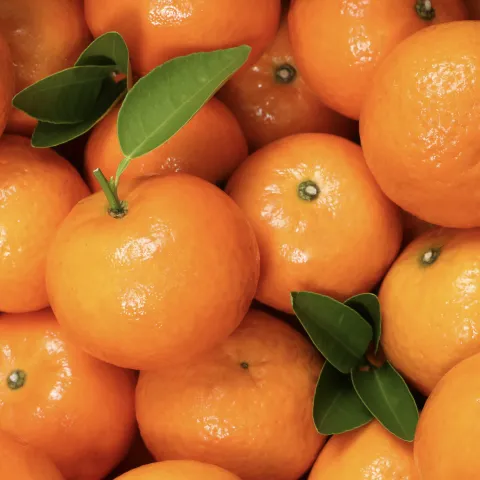 Mandarin