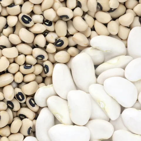 Pulses